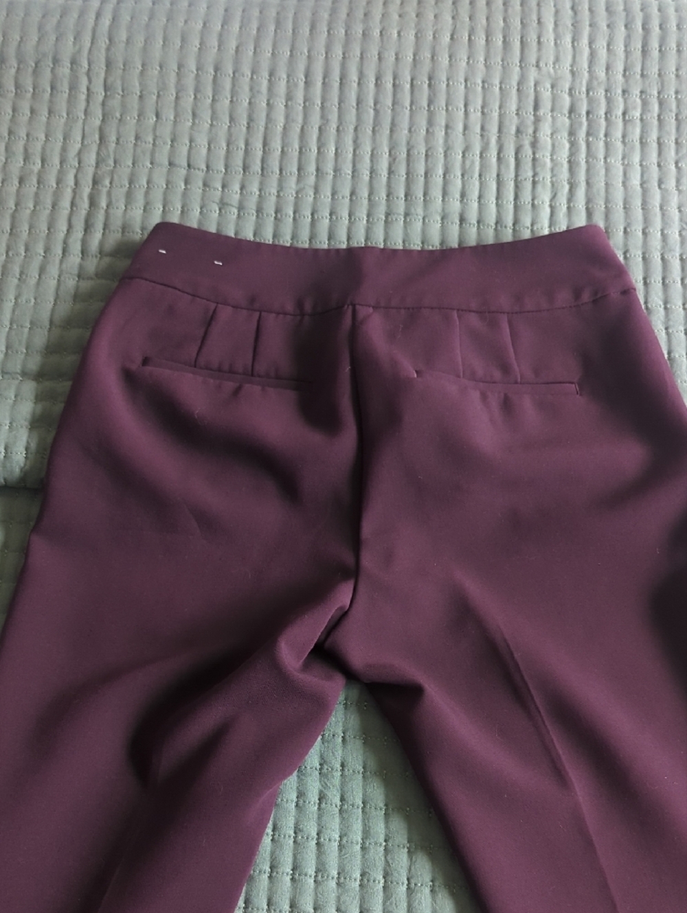 Ann Taylor Factory Plum Ponte Trousers - Picture 6 of 7